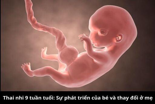 Hinh anh qua ngu vi tu mau do tuoi trong tu nhien